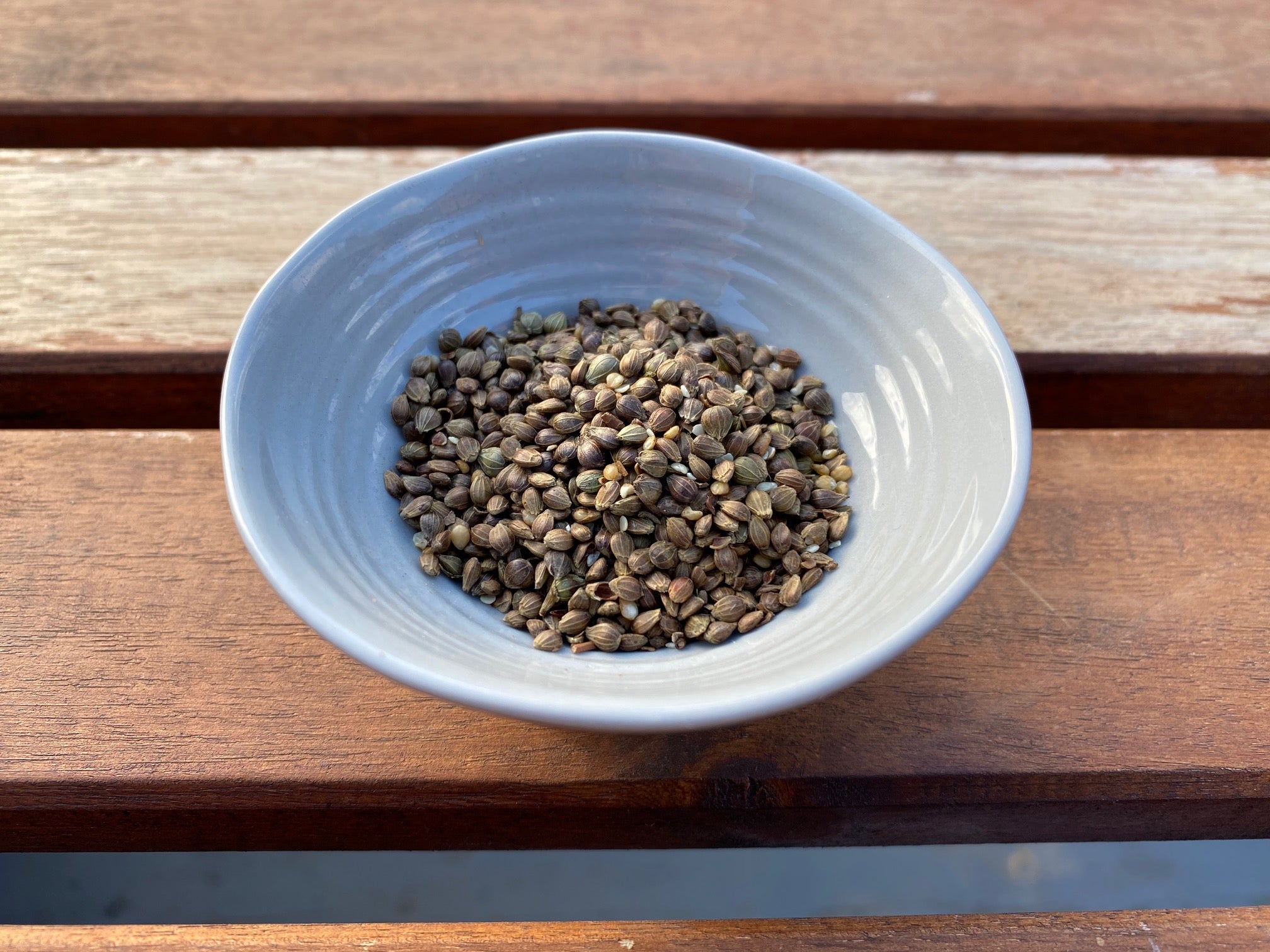 Seeds