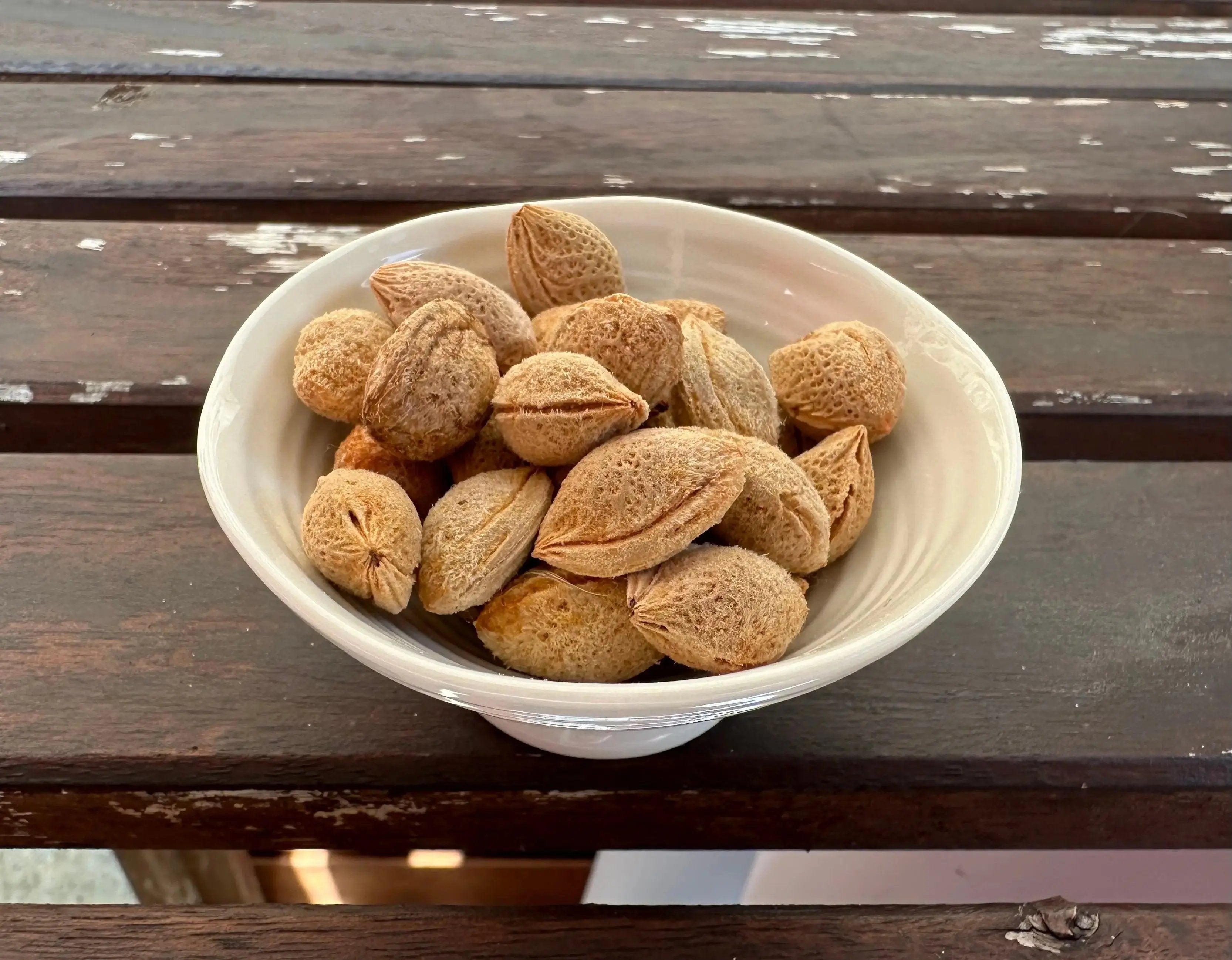 Prunus mume (Ume) CB Seeds