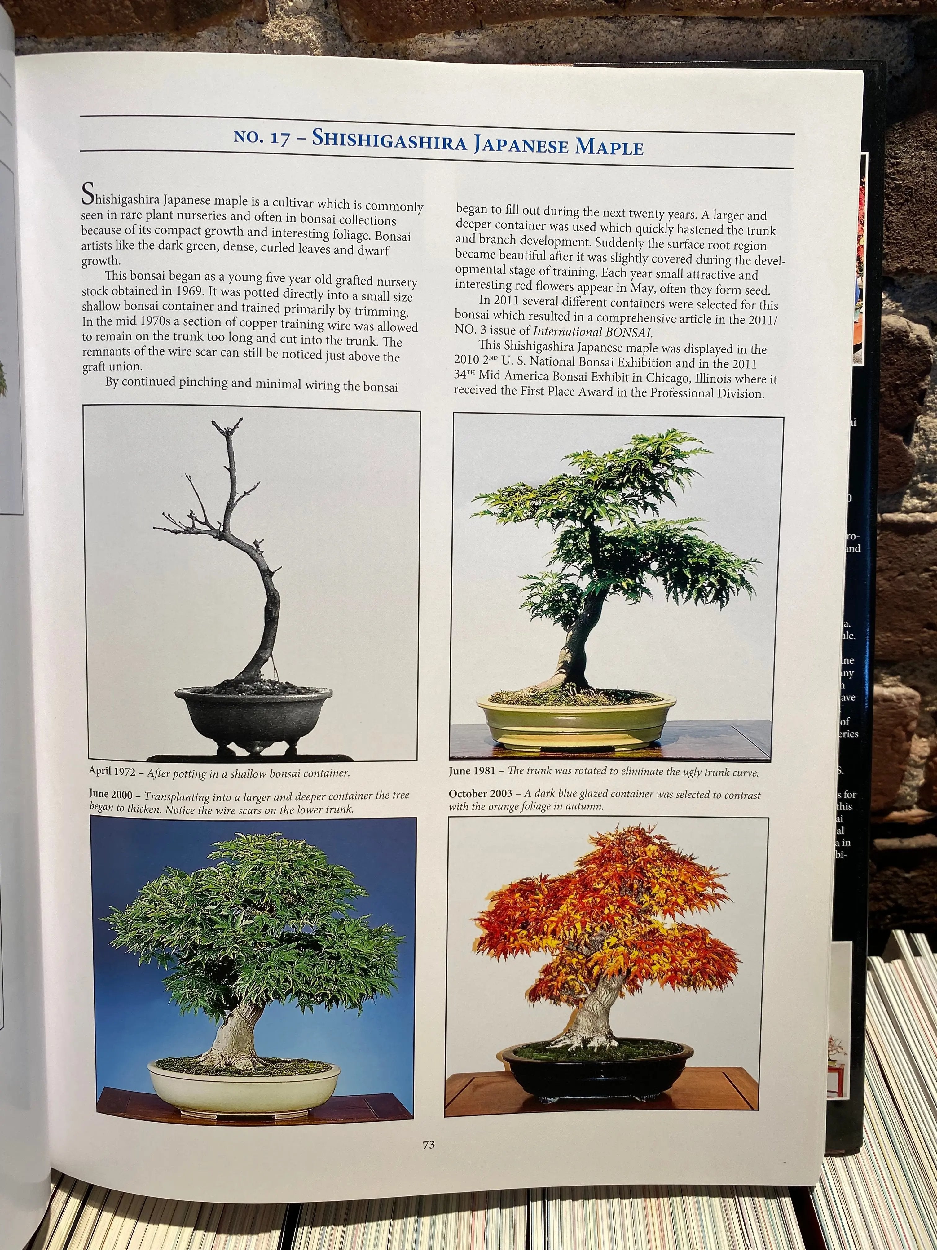Classical Bonsai Art (unsigned) CB Books