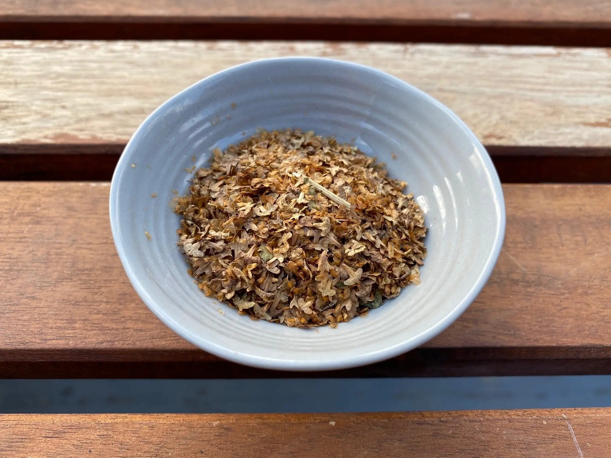 Betula pendula (European White Birch) CB Seeds