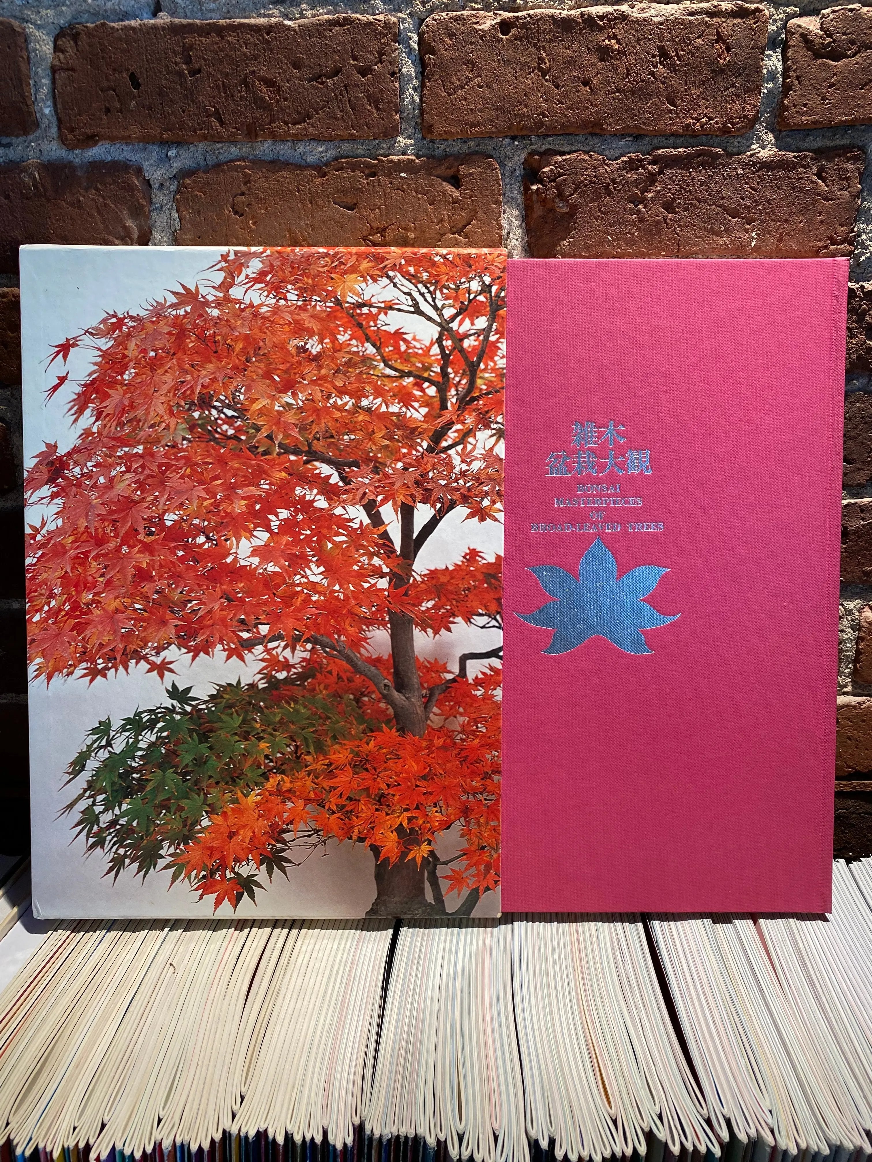 Broad Leaf Bonsai Masterpiece (signed) CB Books