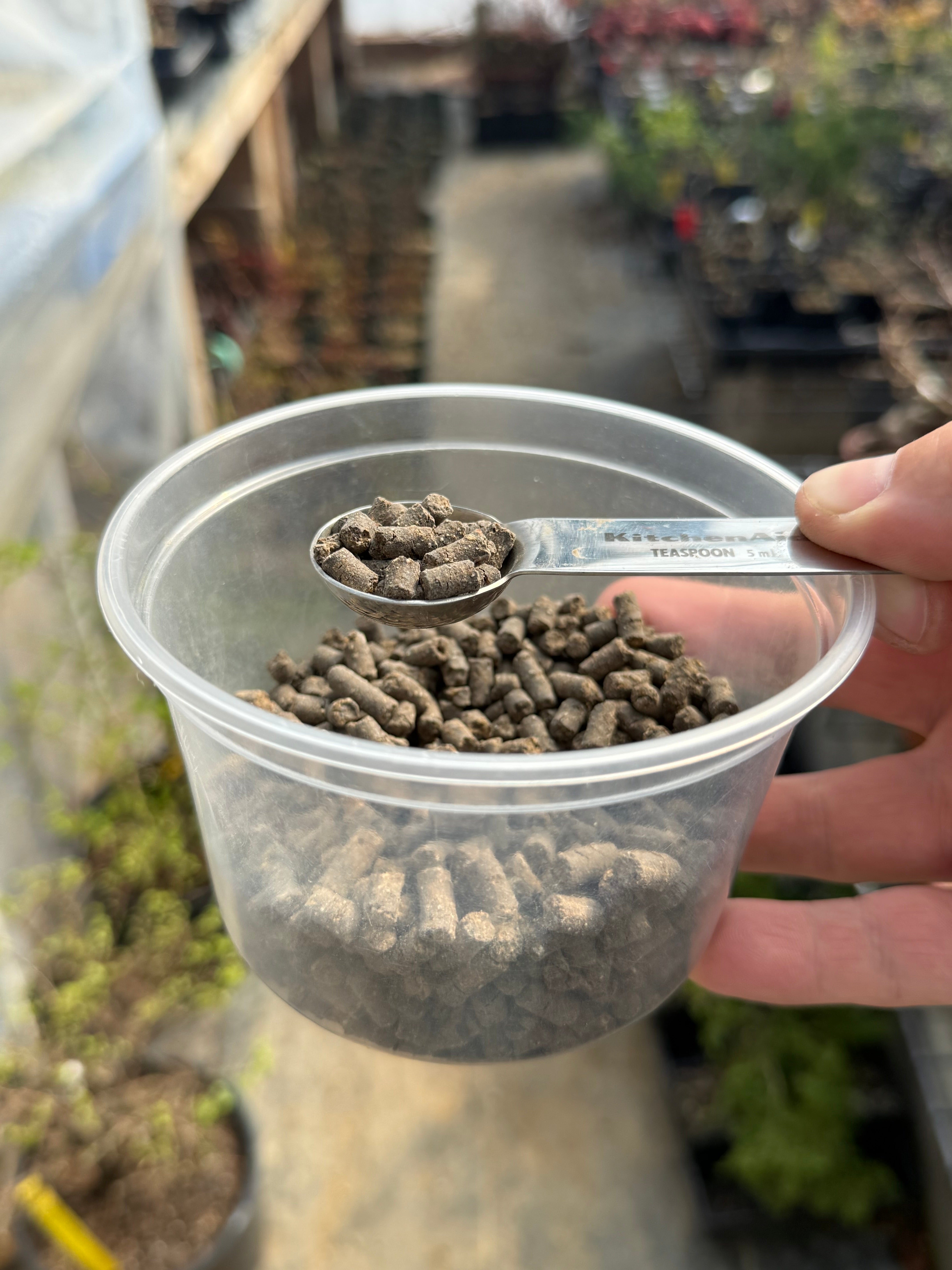 Satsuki Azalea fertilizer (shipping incl.)
