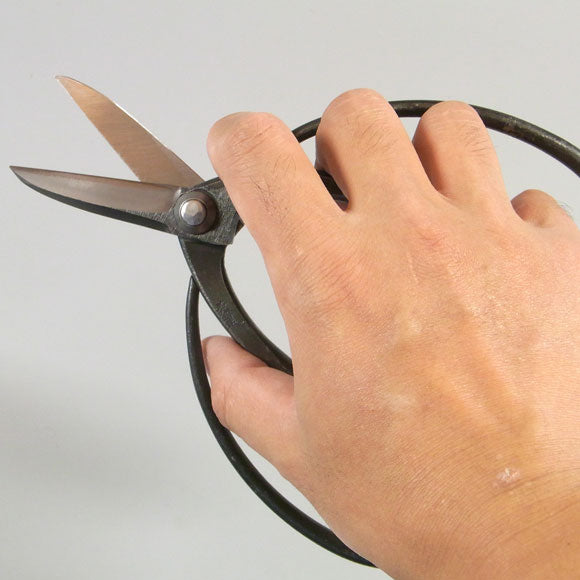 Scissors